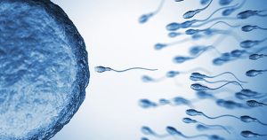 2045 yılında sperm sayısı “0” olacak