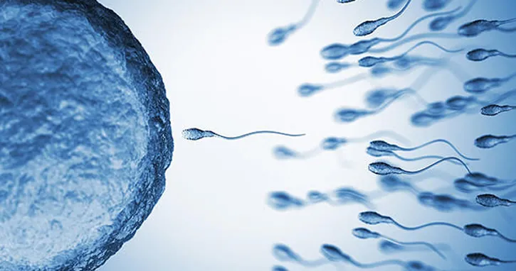 2045 yılında sperm sayısı “0” olacak
