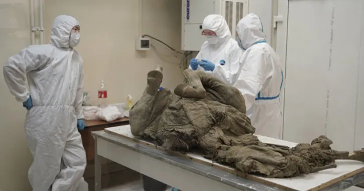 Rusya’dan gelmiş geçmiş tüm virüsler için iddialı çalışma