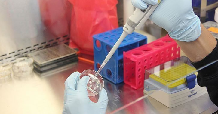 İngiltere’de Kovid vakalarında belirgin düşüş