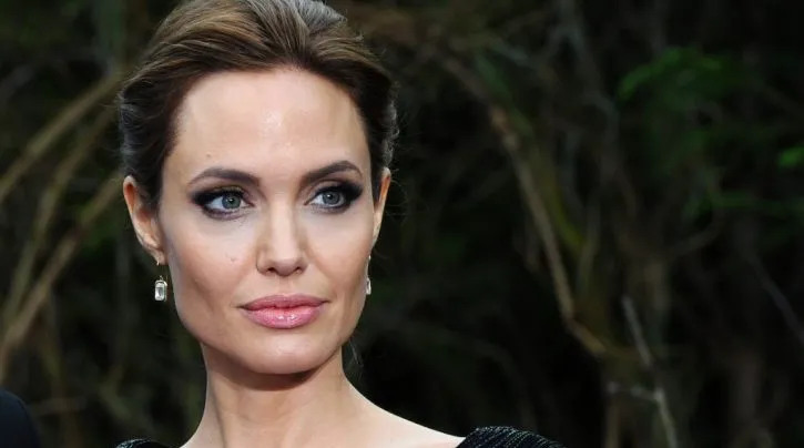 İstanbul Sözleşmesi: Angelina Jolie, Elif Şafak’a Konuştu