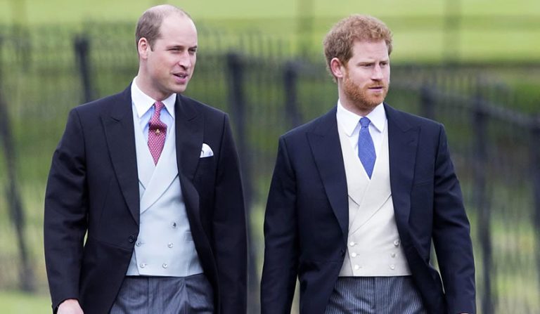 Olay adam, Prens William ve Harry’den özür diledi