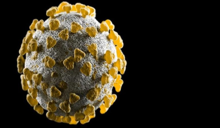 İngiltere’de ‘üçlü mutasyon’ araştırması devam ediyor