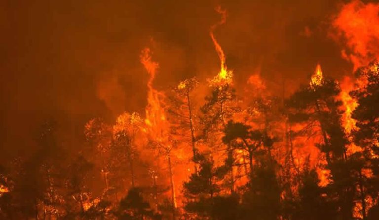 Avrupa’nın güneyindeki yangınlar durmak bilmiyor