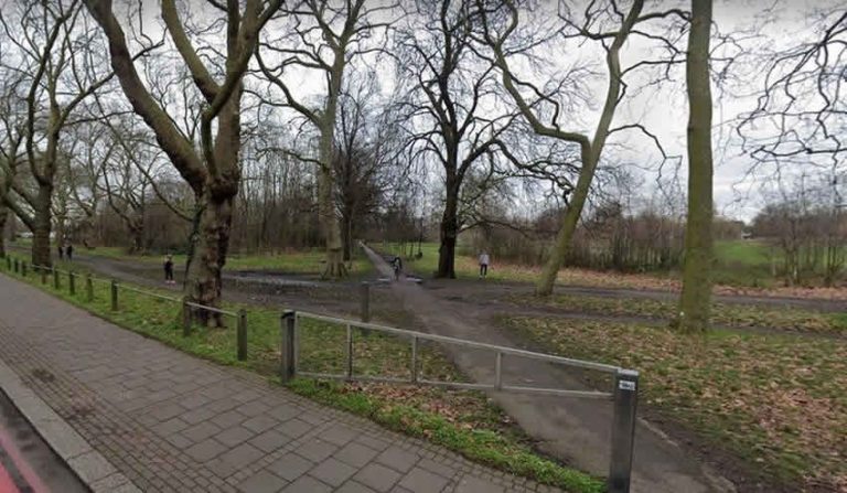 Londra polisi, iğrenç tecavüz olayının sorumlularını arıyor