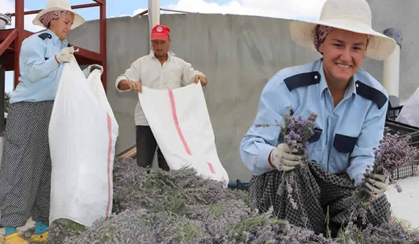 Londra’dan Manisa’ya döndü! Hobisini işe çevirdi hayatı değişti