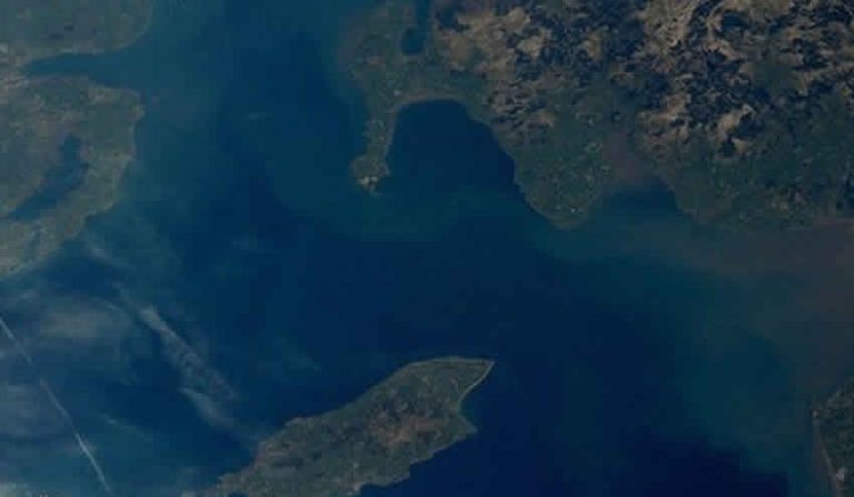 Milyarder iş insanı Elon Musk’tan İngiltere’de Starlink hamlesi