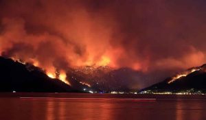 Türkiye’de yangınlarda son durum: 7 ilde müdahale sürüyor