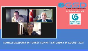 Yunus Emre Enstitüsü çevrim içi “Somali Diasporası Zirvesi” düzenledi