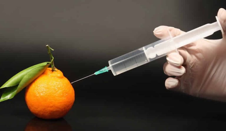 Genetiği düzenlenmiş ürünlere yönelik kısıtlamalar gevşetilecek