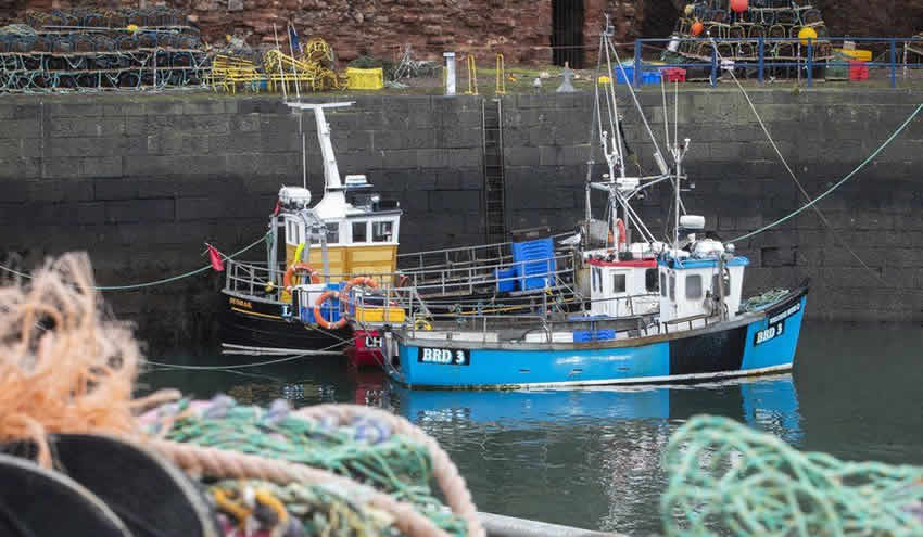 Fransa’dan İngiltere’ye tehdit: “8 gün süre veriyoruz”