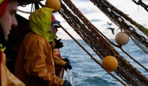 Fransa: İngiltere ile görüşmelerde hayal kırıklığına uğradık