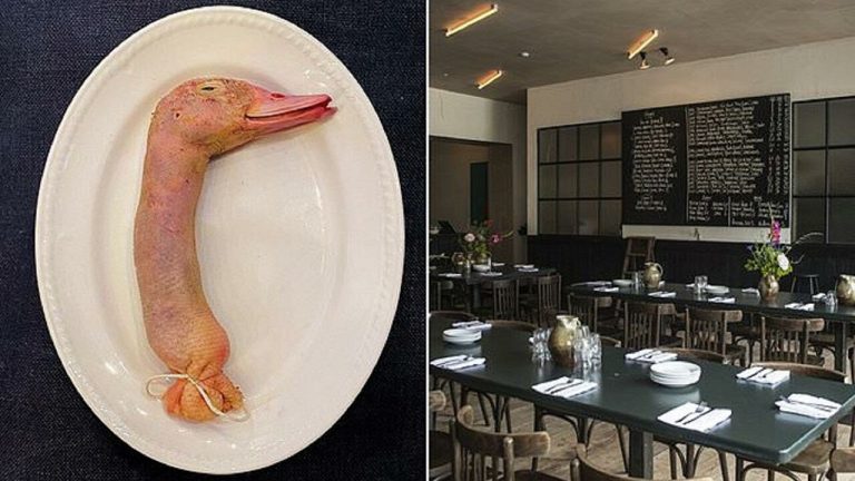 Londra’daki ünlü restoranın alışılmadık “ördek sunumu” sosyal medyada viral oldu