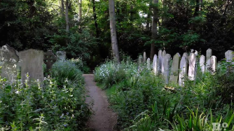 Londra’da mezarlık cinayeti davası ay sonunda görülecek