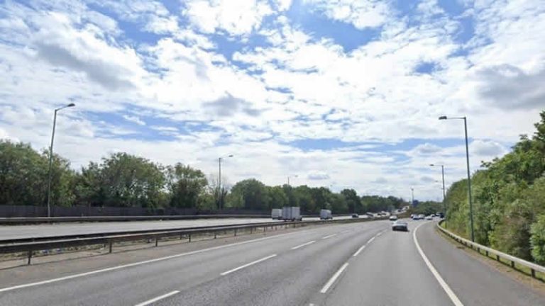 M5 Otoyolunda Taser ile Vurulan Genç Otomobil Çarpması Sonrası Hayatını Kaybetti