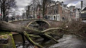 İngiltere’de başlayan Eunice Fırtınası Avrupa’yı da uçurdu: 4 ölüm