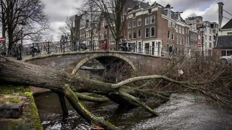 İngiltere’de başlayan Eunice Fırtınası Avrupa’yı da uçurdu: 4 ölüm