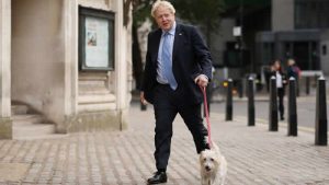 Başbakan Boris Johnson, yerel seçimler için oyunu kullandı