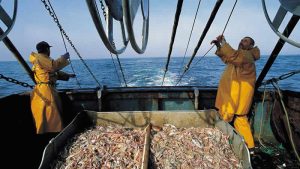 İngiltere’de balıkçı teknelerinde çalışan göçmen işçiler fiziksel şiddet kurbanı