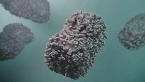 Avrupa Birliği, 110 bin doz maymun çiçeği aşısı alıyor