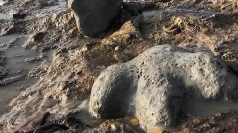 Avrupa’nın “gelmiş geçmiş en büyük ​​kara dinozoru” fosili İngiltere’de bulundu