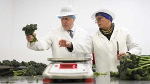 İngiltere küresel gıda fiyatlarındaki yükseliş sebebiyle gıda güvenliğine öncelik verecek