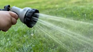 Güney İngiltere’de ‘hortumla sulama’ yasağı yeniden gündemde
