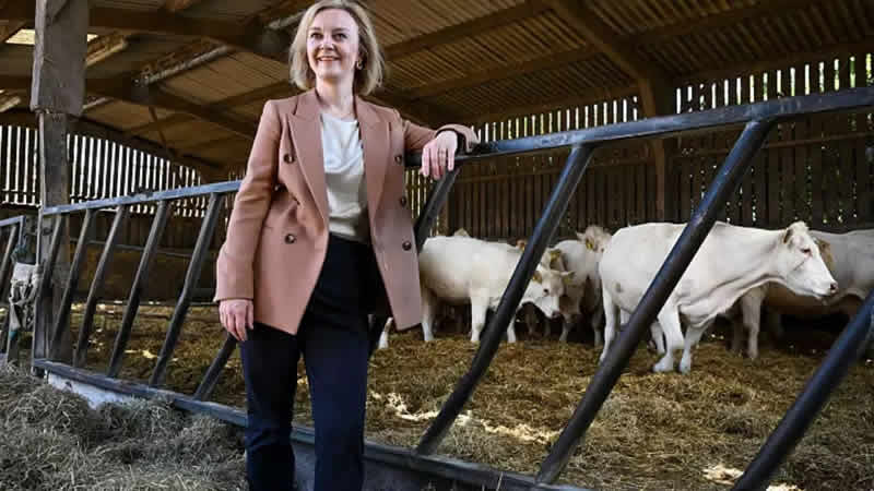 Başbakanlık adayı Liz Truss memur maaşlarıyla ilgili ‘U dönüşü’ yaptı