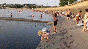 İngiltere’de göle girenlere “deniz biti” uyarısı