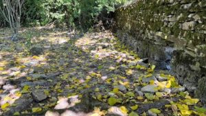 İngiltere’nin güney, orta ve doğu bölgelerinde kuraklık ilan edildi