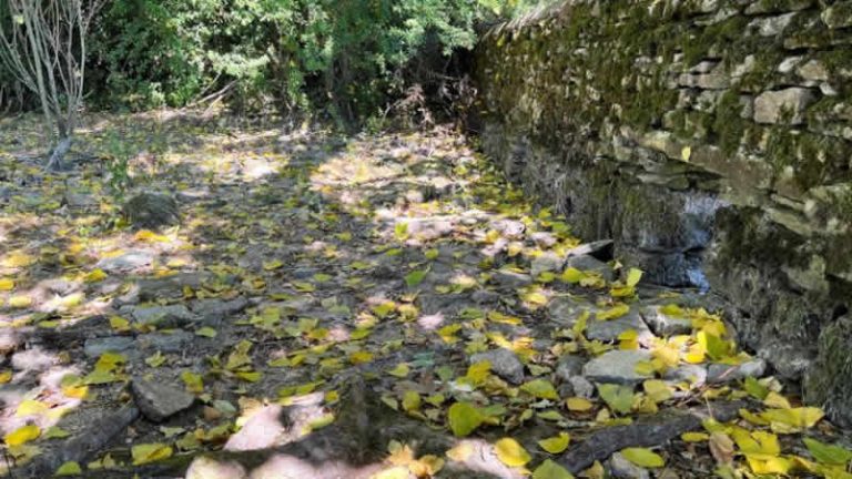 İngiltere’nin güney, orta ve doğu bölgelerinde kuraklık ilan edildi