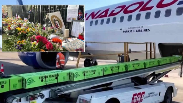 Türk çiçekçiler, Kraliçe Elizabeth’in cenazesi için siparişlere yetişemiyor