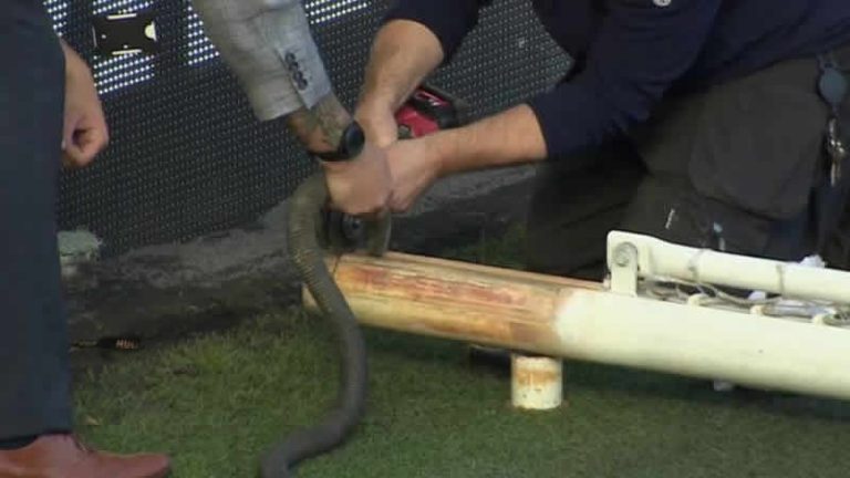 Hull City’nin stadında kale direkleri olması gerekenden uzun çıktı