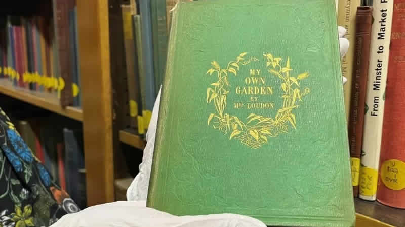 Leeds’te bir kütüphanede arsenikle renklendirilmiş ‘zehirli’ kitap bulundu