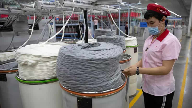 Londra mahkemesi, Uygur pamuğu ithalinin yasaklanmasını isteyen şikayet için karar verecek