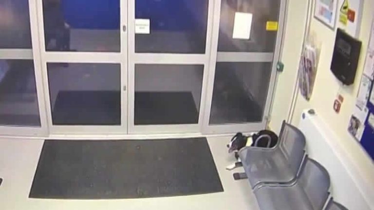 İngiltere’de kaybolan köpek karakola gitti