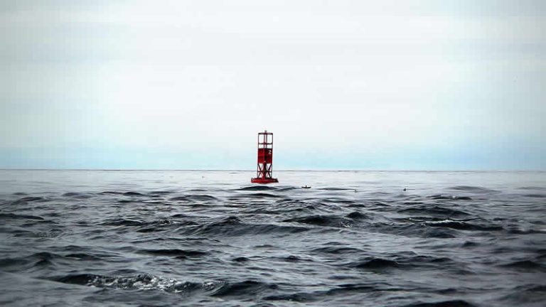 Denize düşen balıkçı 48 saat sonra canlı bulundu