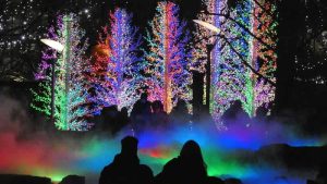 Canary Wharf’ta Kış Işıkları Festivali başladı