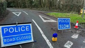 İngiltere’de bir kadın gezdirdiği köpekler tarafından öldürüldü