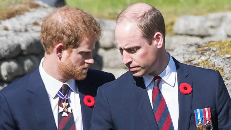 Prens Harry: Abim hastalanırsa ona organ bağışlamak için doğdum