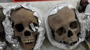 Havalimanında folyoya sarılı 4 insan kafatası bulundu!