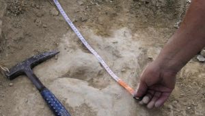İngiltere’de bir metrelik dinozor ayak izi bulundu