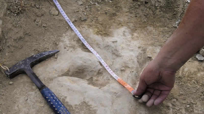 İngiltere’de bir metrelik dinozor ayak izi bulundu
