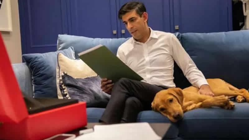 İngiltere Başbakanı Sunak tasmasız köpek gezdirdiği için uyarıldı