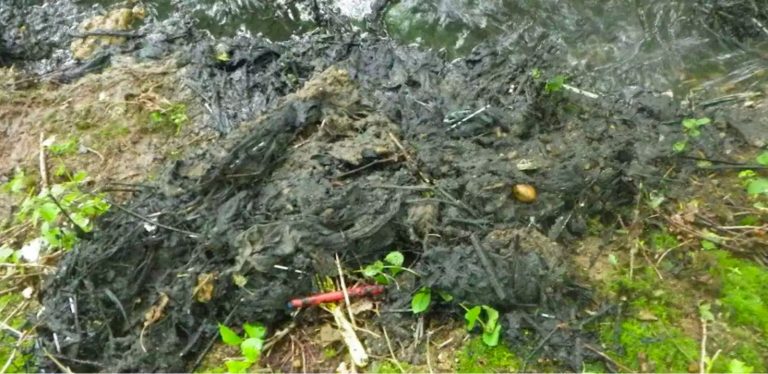 Su şirketleri “sınırsız” para cezaları ile karşı karşıya kalabilir