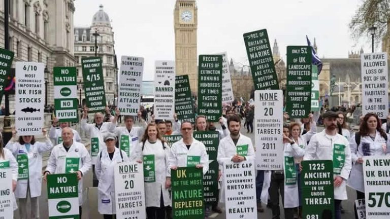 Londra’da çevreci grupların gösterileri sürüyor