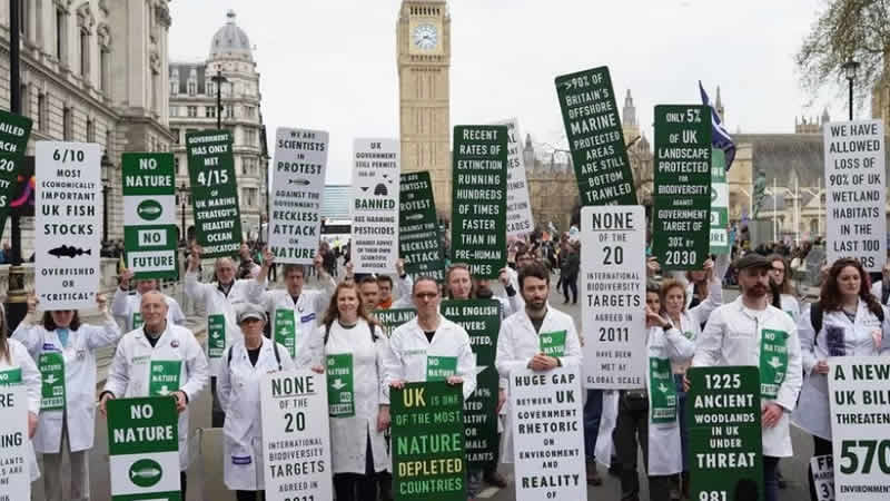 Londra’da çevreci grupların gösterileri sürüyor