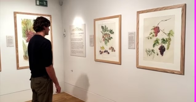 Londra’da Kur’an’ın Bitkileri sergisi