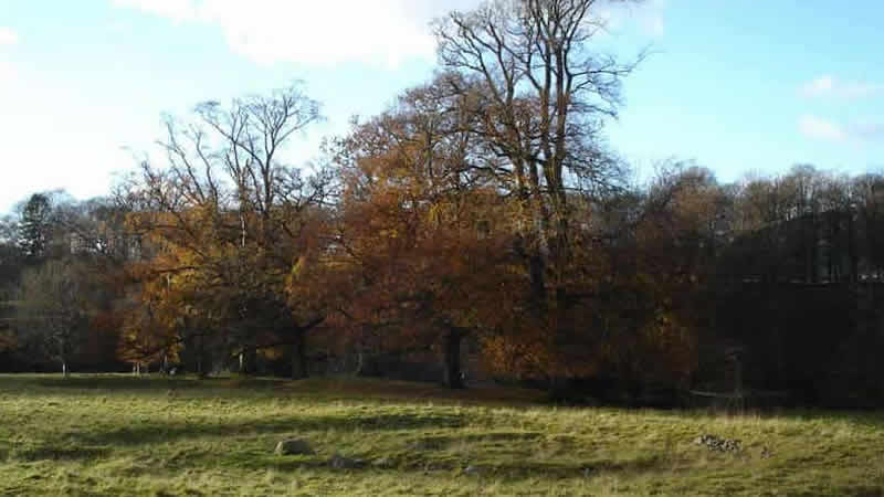 Britanya’daki 4 bin yıllık mezarlarda veba bulundu