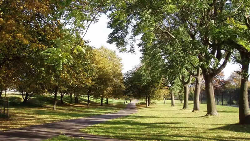 Burgess Park’ta gece saldırıya uğrayan kişi sabah saatlerinde bulundu
